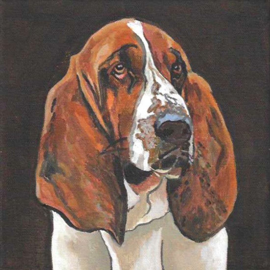 D694 Basset