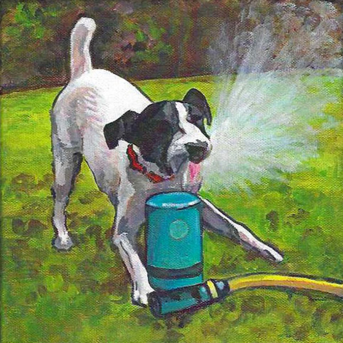 D703 hond