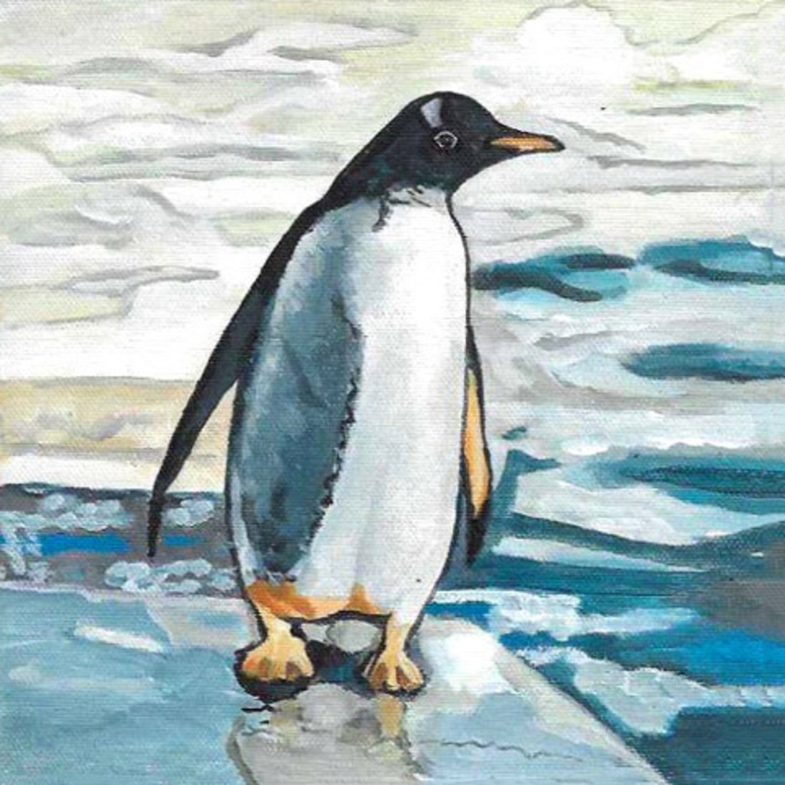 D705 pinguin