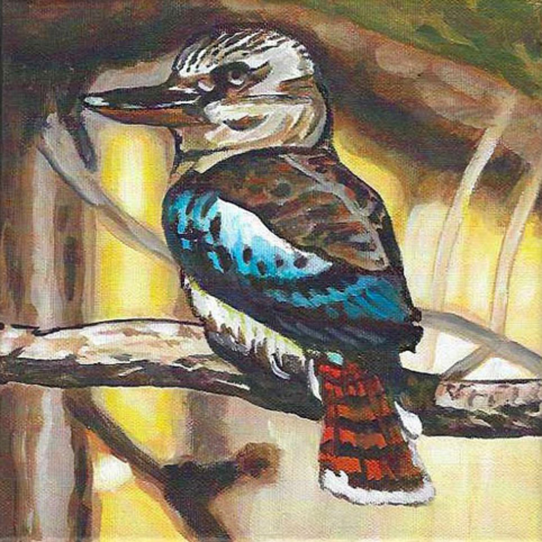 D708 Kookaburra