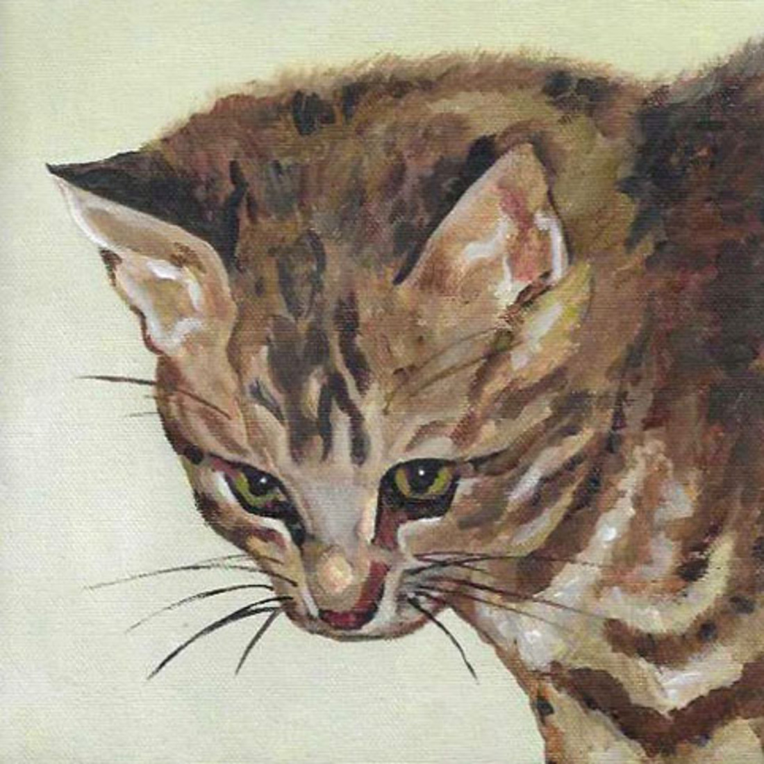 D709 kitten