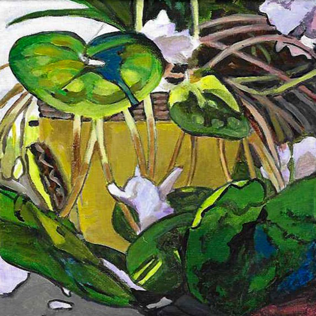 N402 cyclamen