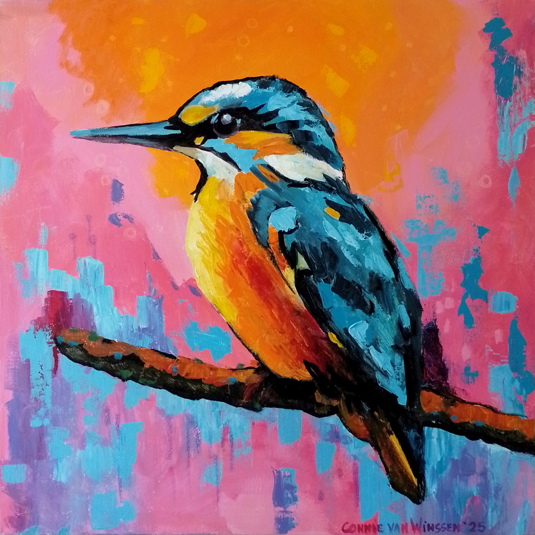 D717 ijsvogel