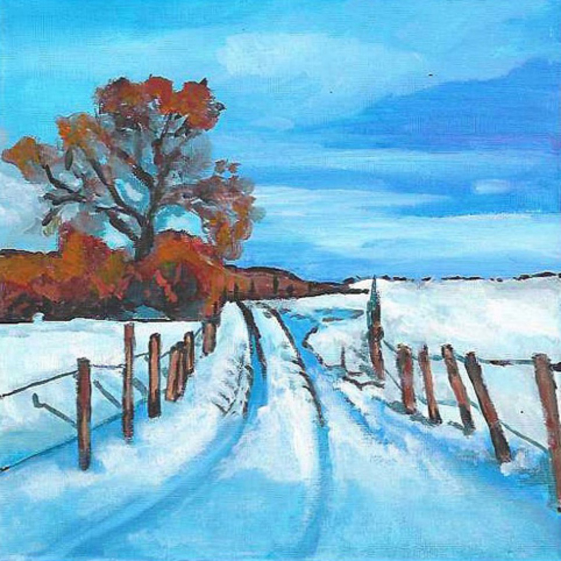 N404 sneeuwlandschap