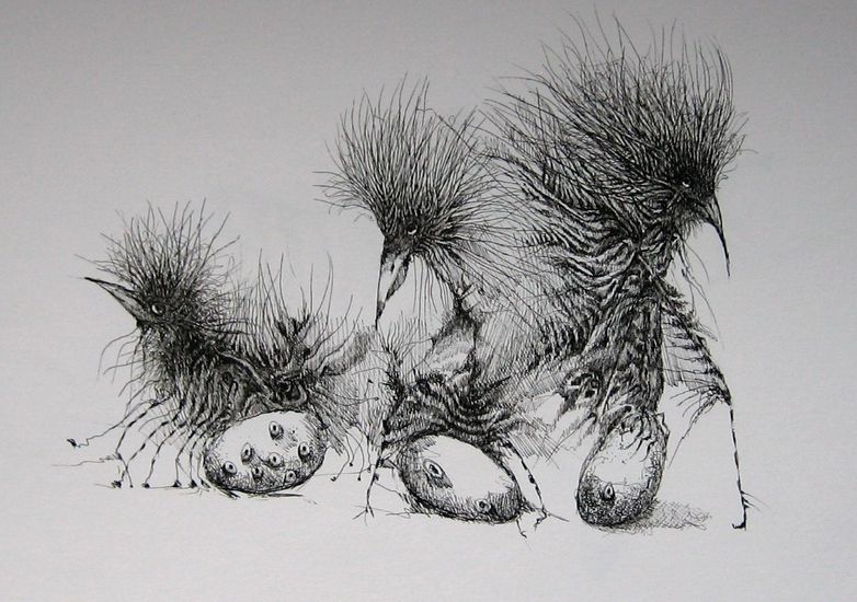 Drie Vogels met Drie Eieren