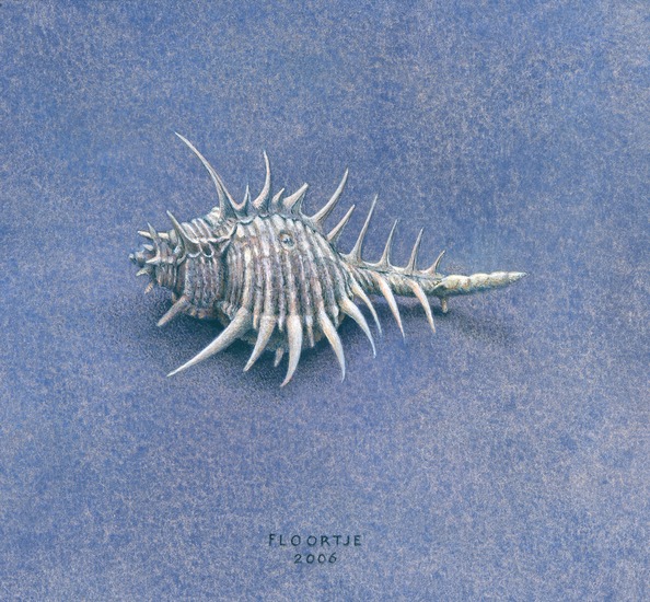 Floortje Hollema - Stekelhoren ( Gouache op papier)