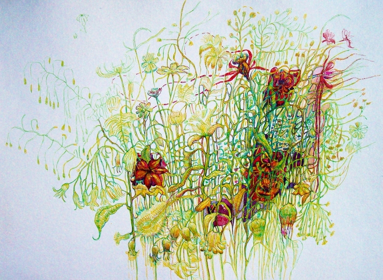 Essen, Gwendolyn van