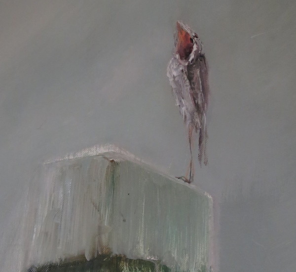 Dorien Plaat
