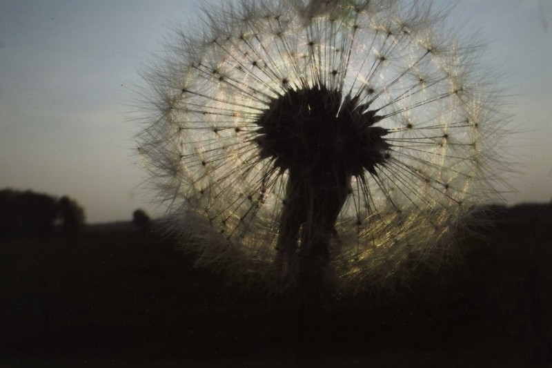 Mieke-Martje van der Broek - Fotografie