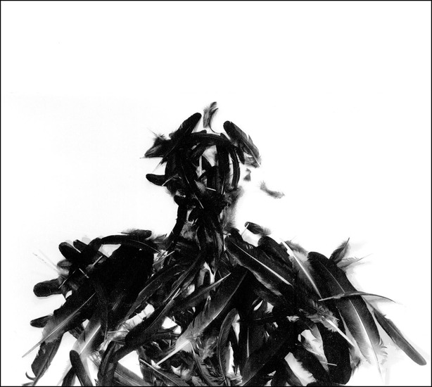 Ans Courtier - Fotografie (Barietdruk)