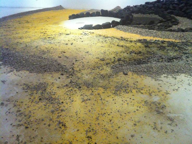 Liesbeth Takken ( landartprojecten/fotografie)