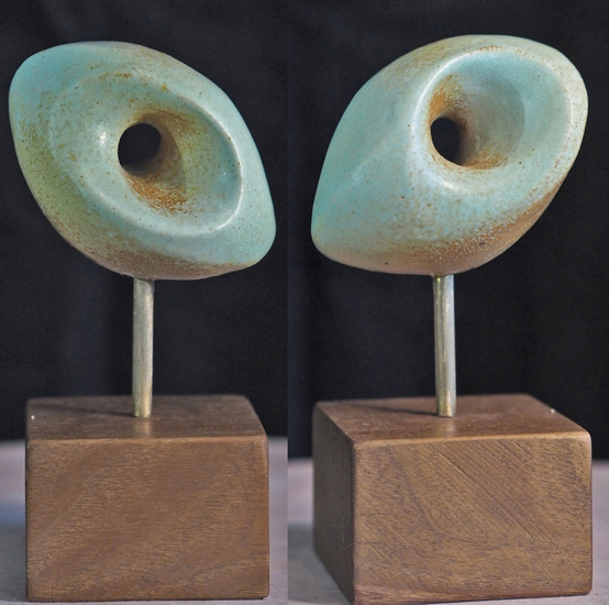 Het oog