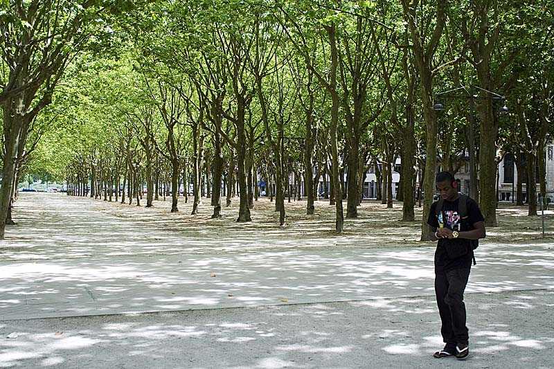 Bordeaux 1