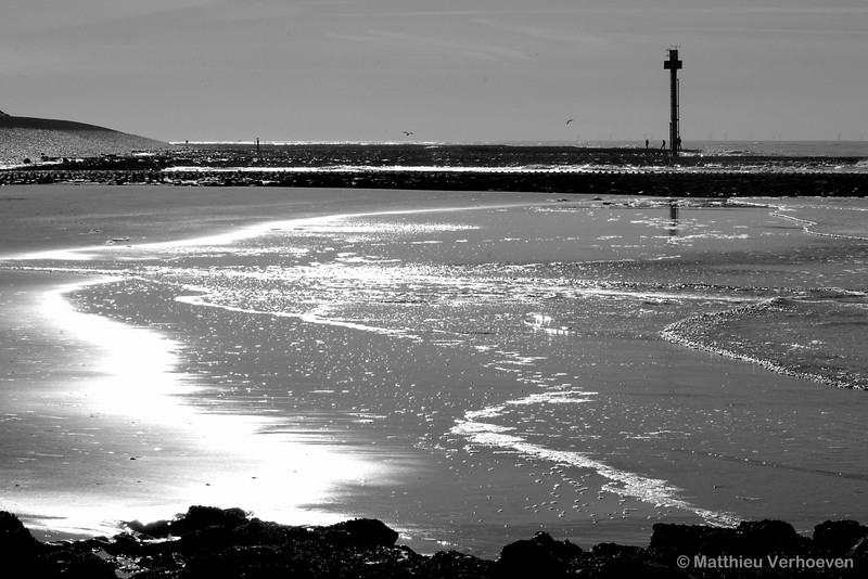 strand in tegenlicht