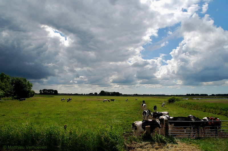 donderwolken in het landschap