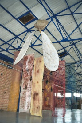 vlerk en trans^paranten