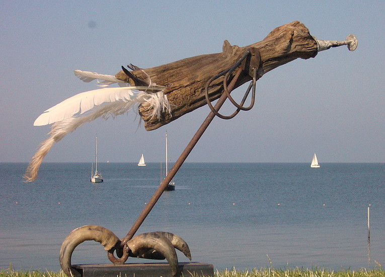 Gevleugelde met beperking