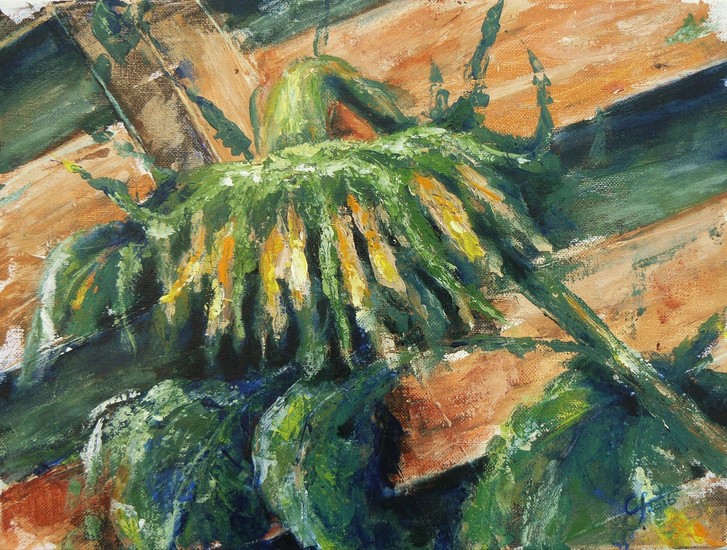 Zonnebloem tegen schutting