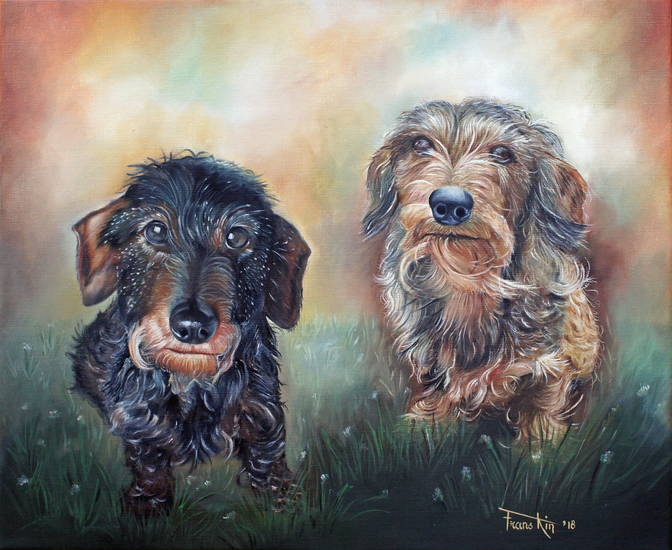 twee hele lieve hondjes