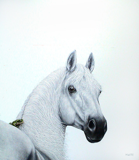 Prince on a white horse