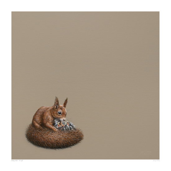 Shelter - Certified Art Giclée