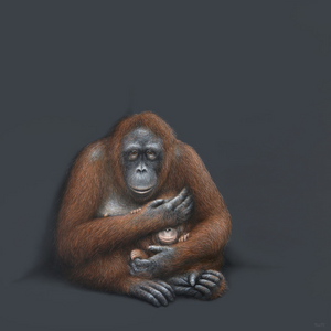 Schilderijen die de hedendaagse maatschappij op een subtiele wijze bekritiseren. Door de plaatsing van nagenoeg levensgrootte dieren tegen een lege, monochrome achtergrond, balanceren de werken op de rand van realisme en fantasie. Je kunt de schilderijen zien als visuele fabels, waarbij humor, confronterende menselijke gevoelens en positieve maatschappijkritiek nooit ver weg zijn. 