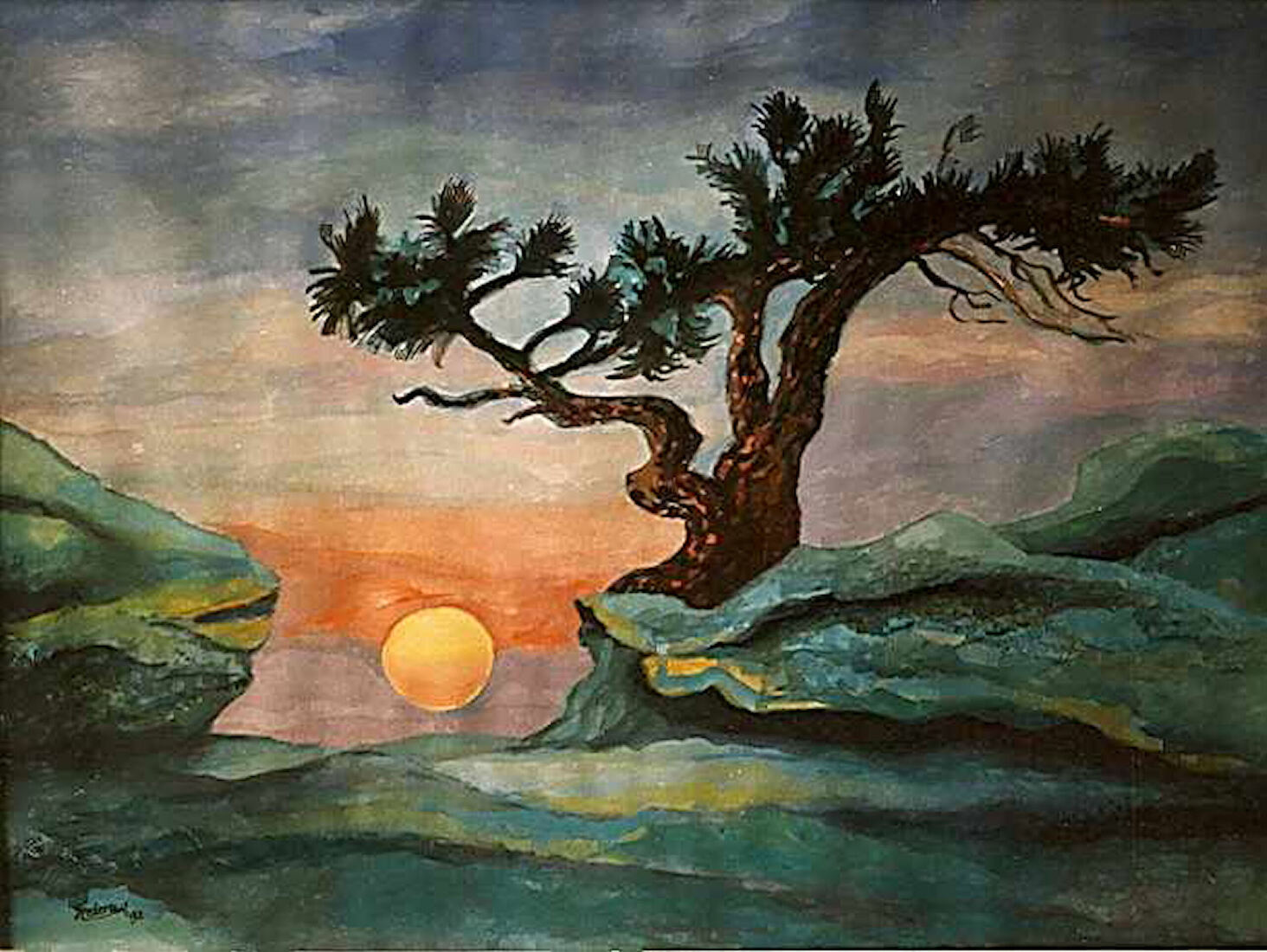 dans van het licht – kronkelboom bij zonsondergang”