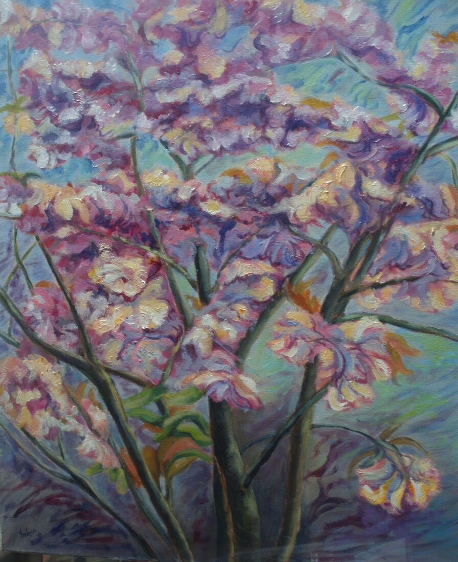 Prunusboom -voorjaar