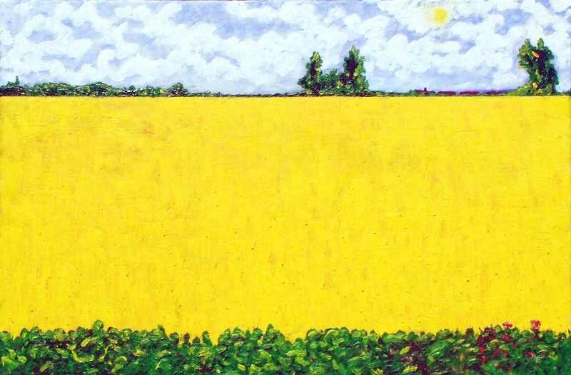 Landschap in Ellemeet