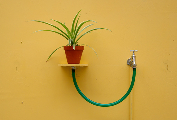Waterschap
