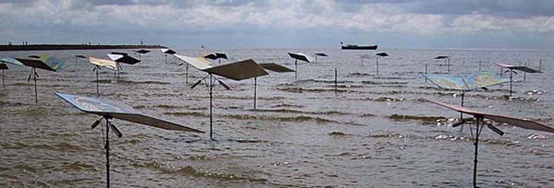 Windnomaden