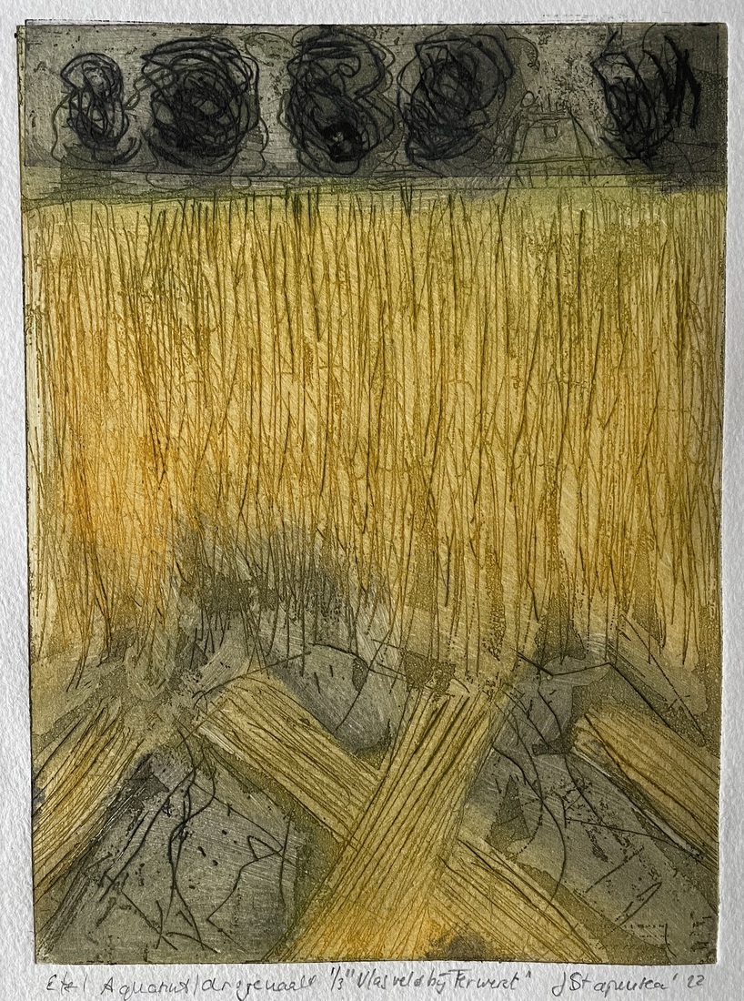 Vlasveld bij Ferwert