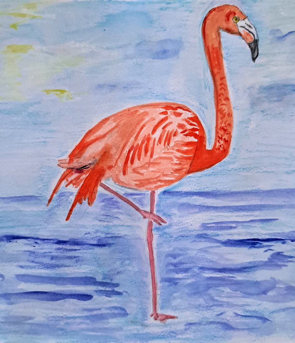 Flamingo