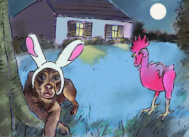 Backyard Avengers
