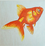 Hierin vind u portretten van allerlei soorten dieren. Here you will find portraits of all sorts of animals.