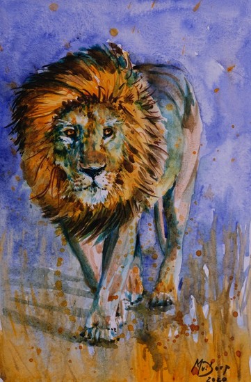 Lopende leeuw, Zuid Afrika