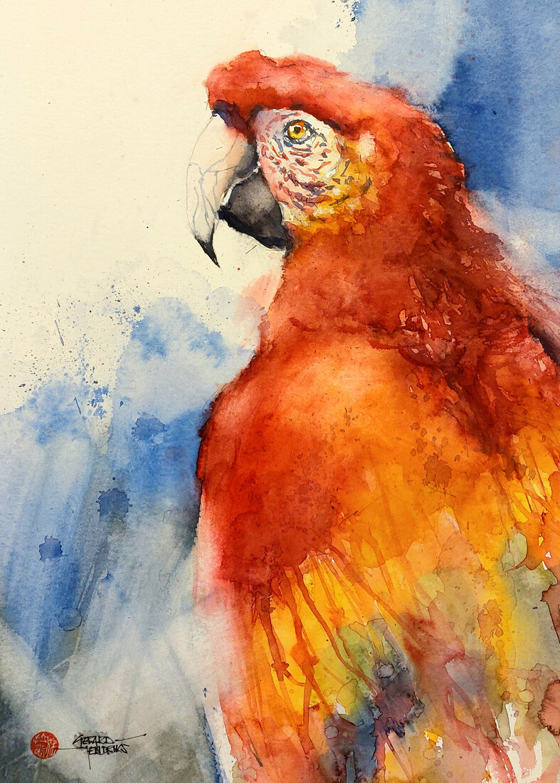 7453 Macaw