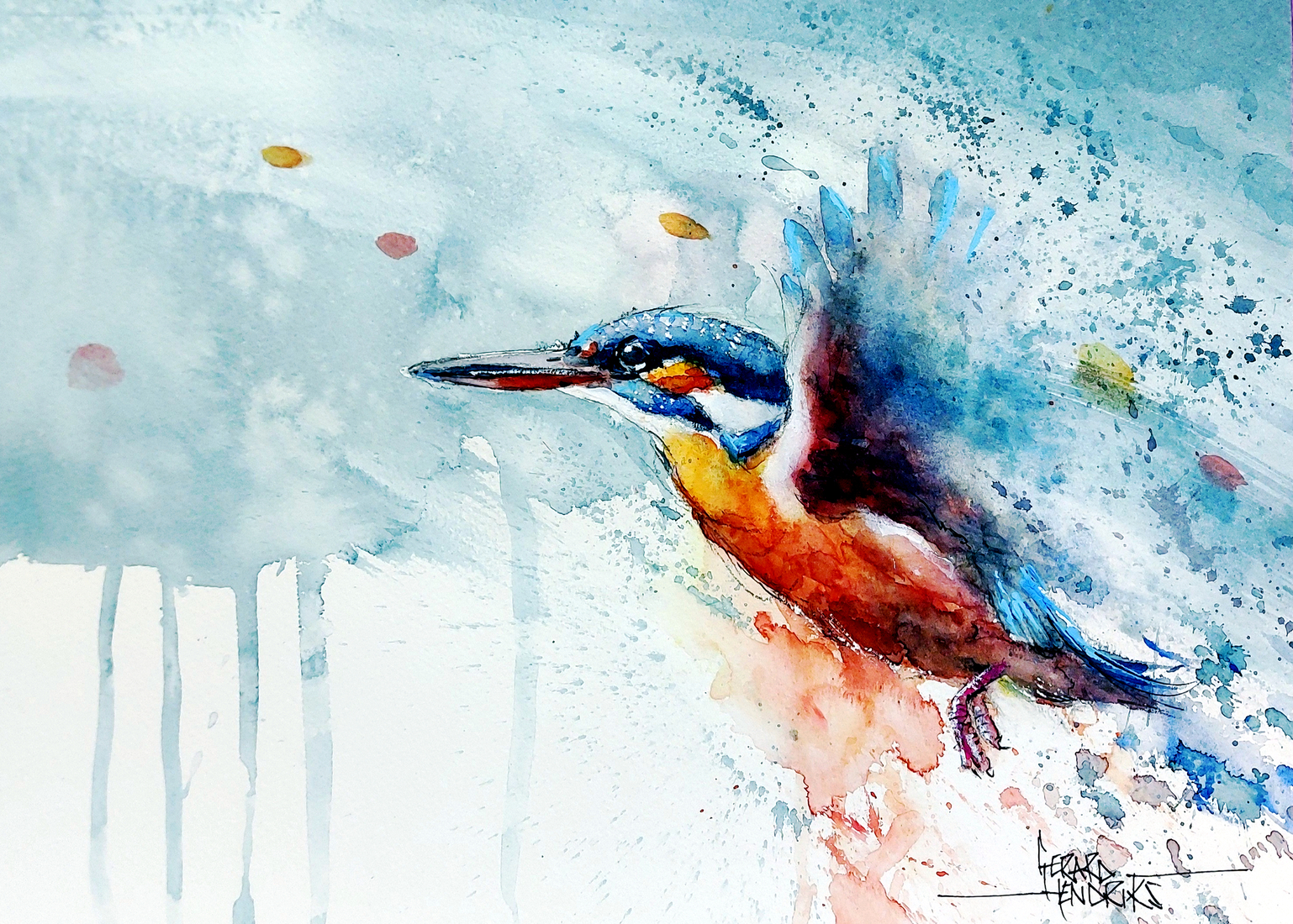 9047 ijsvogel