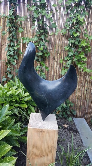 See what you want to see