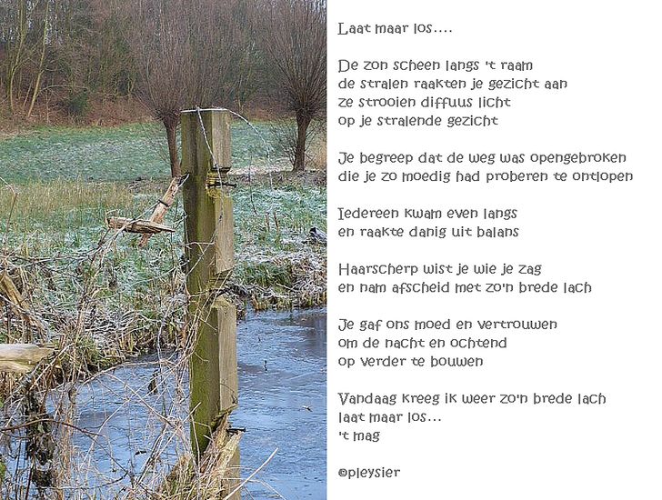 Laat maar los