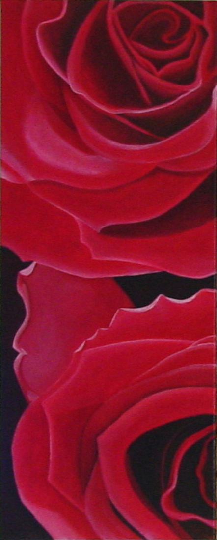 rode rozen (tweeluik)