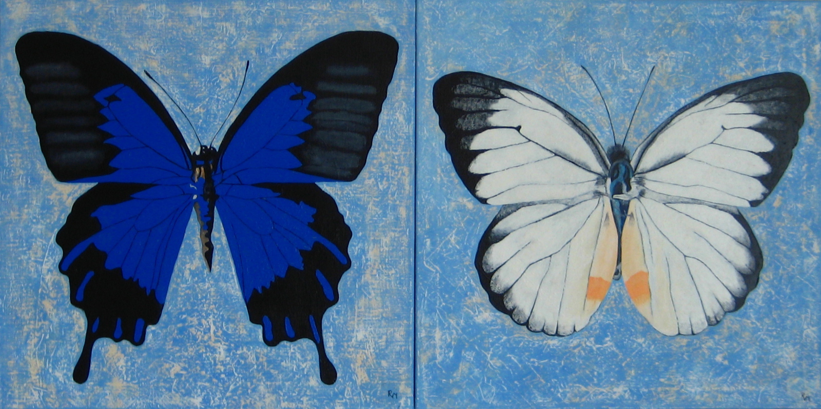 tweeluik vlinders