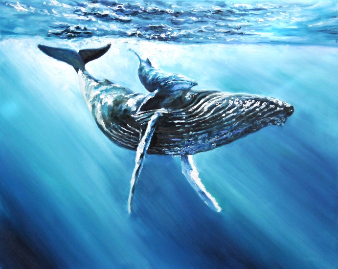 Bultrugwalvis met kalf