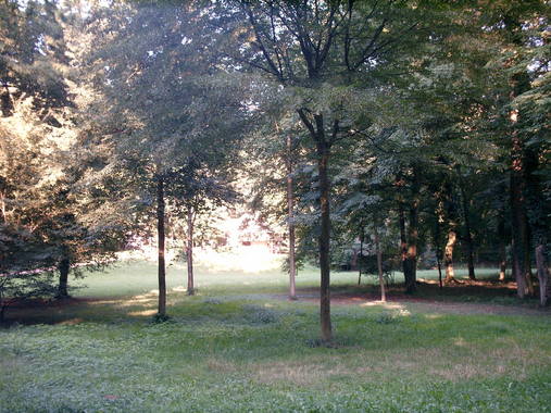 Sch&ouml;nbusch 1