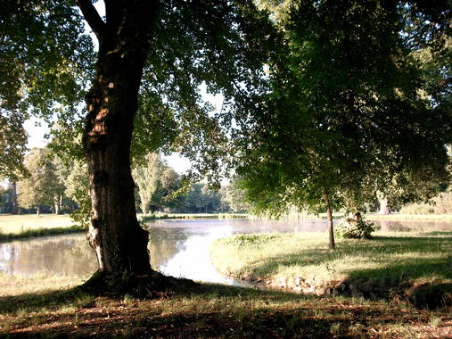 Sch&ouml;nbusch 5