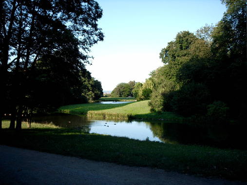 Sch&ouml;nbusch 7