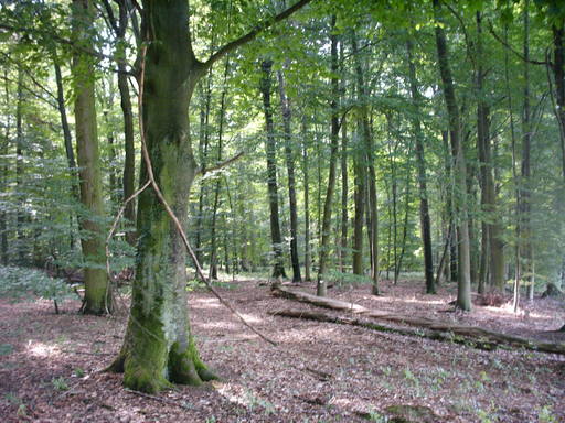 Affalterbach