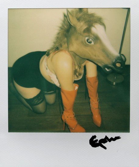 Polaroid Paardje in het atelier 2