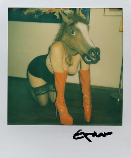 Polaroid Paardje in het atelier