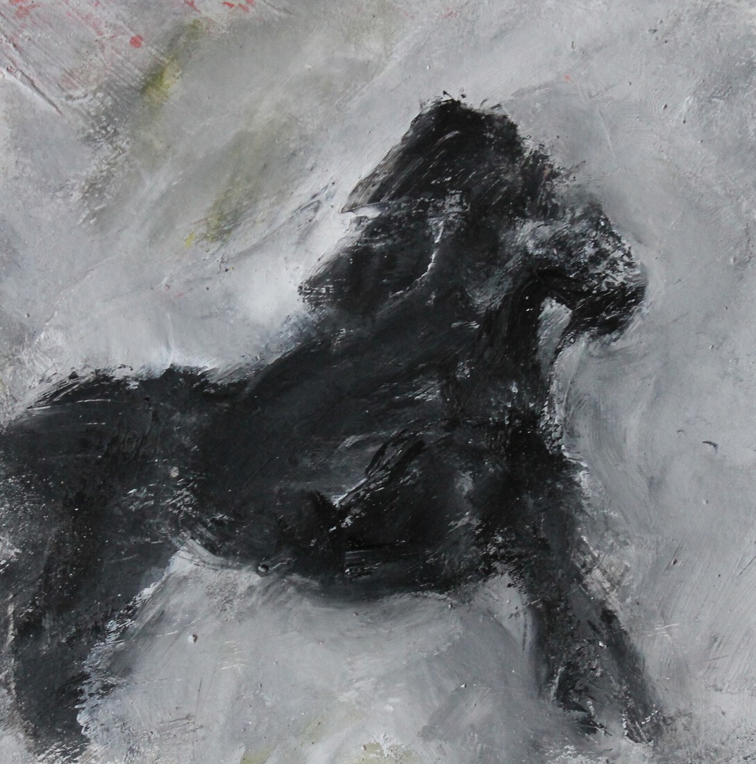 Black horse